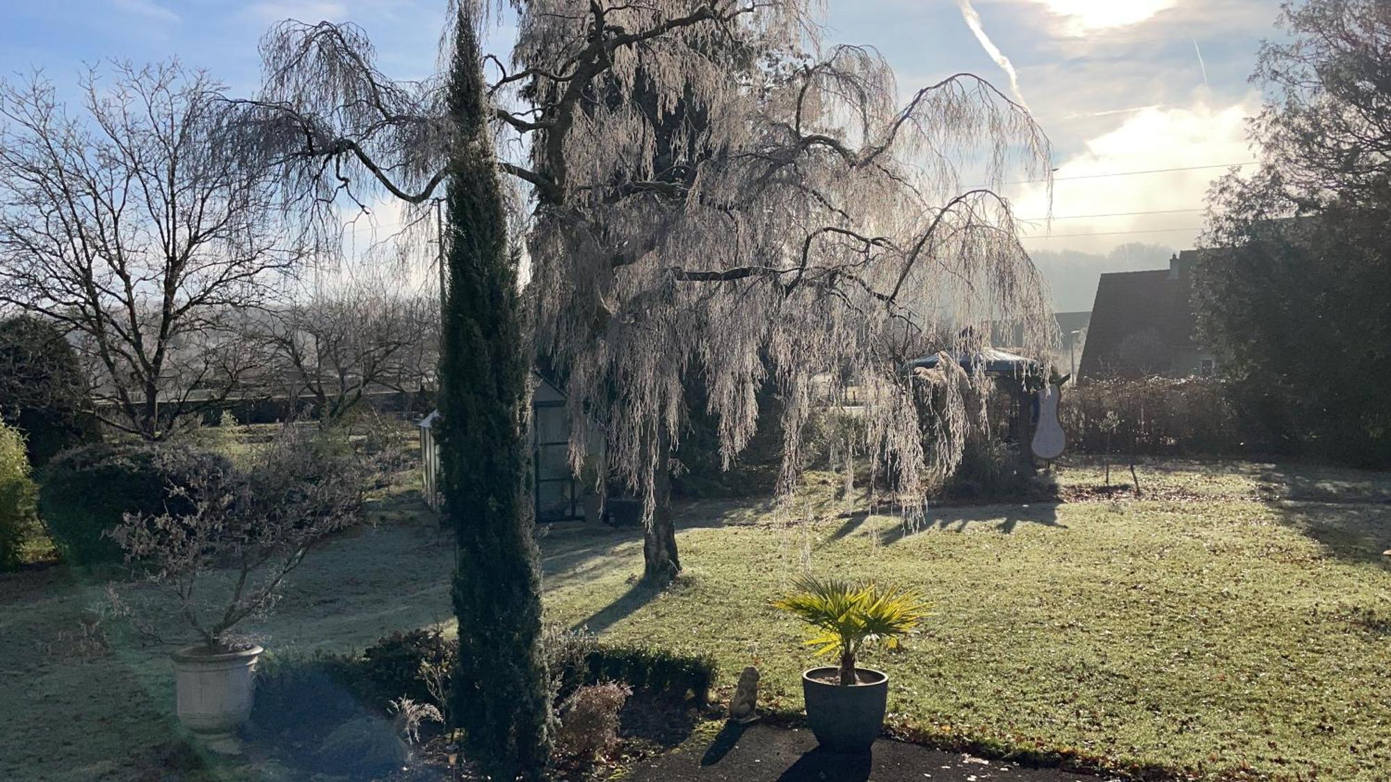 Au Temps Suspendu Bed & Breakfast Champagney Exterior foto