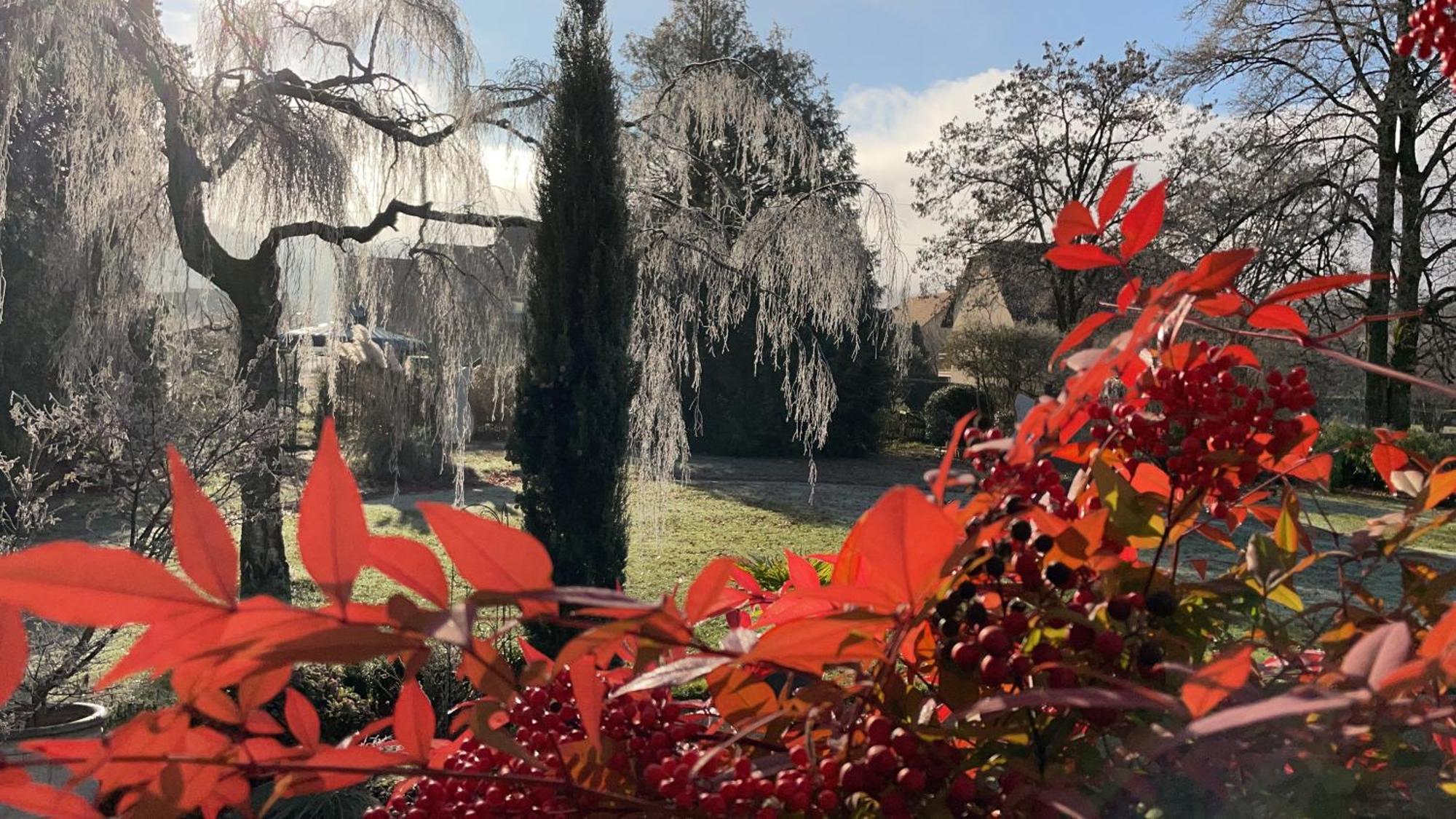 Au Temps Suspendu Bed & Breakfast Champagney Exterior foto