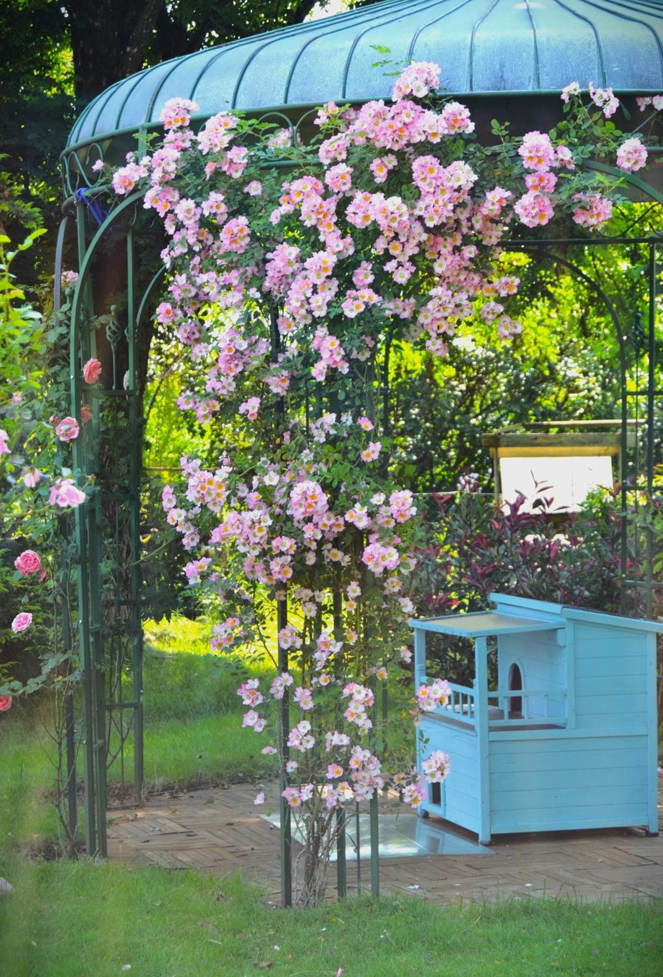 Au Temps Suspendu Bed & Breakfast Champagney Exterior foto